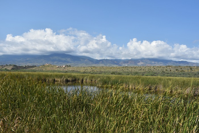 Overlooking Jerome and Tavasci Marsh