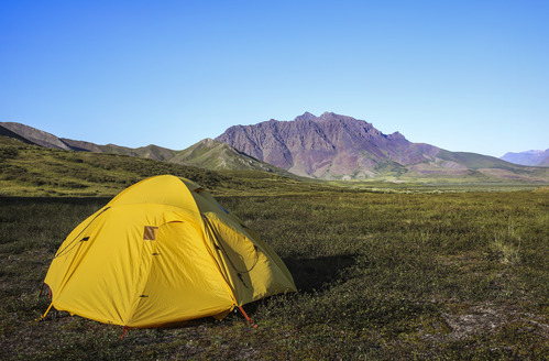 A yellow tent in the tundra with a mountain in the distance