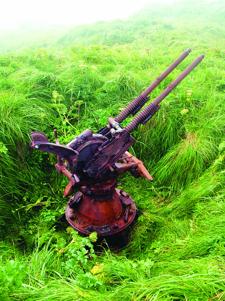 Rusty gun points to sky. Ocean in background.