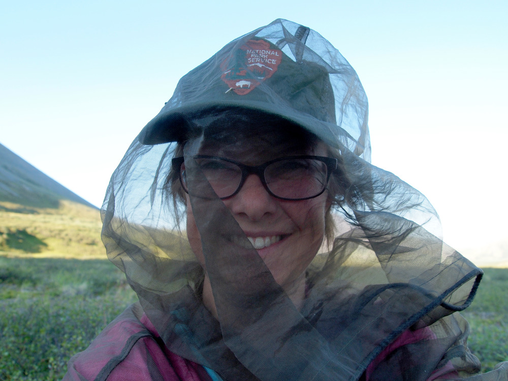 Woman wears a mosquito net over her head