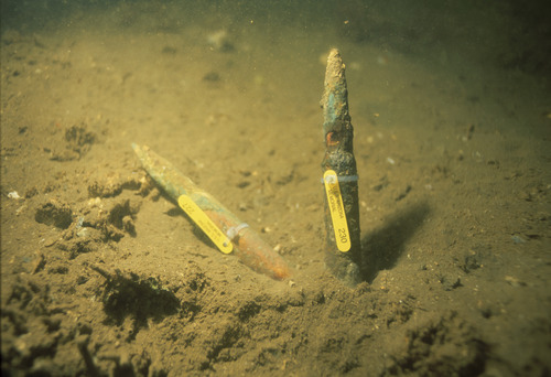 50-Caliber on the <em>USS Arizona</em>