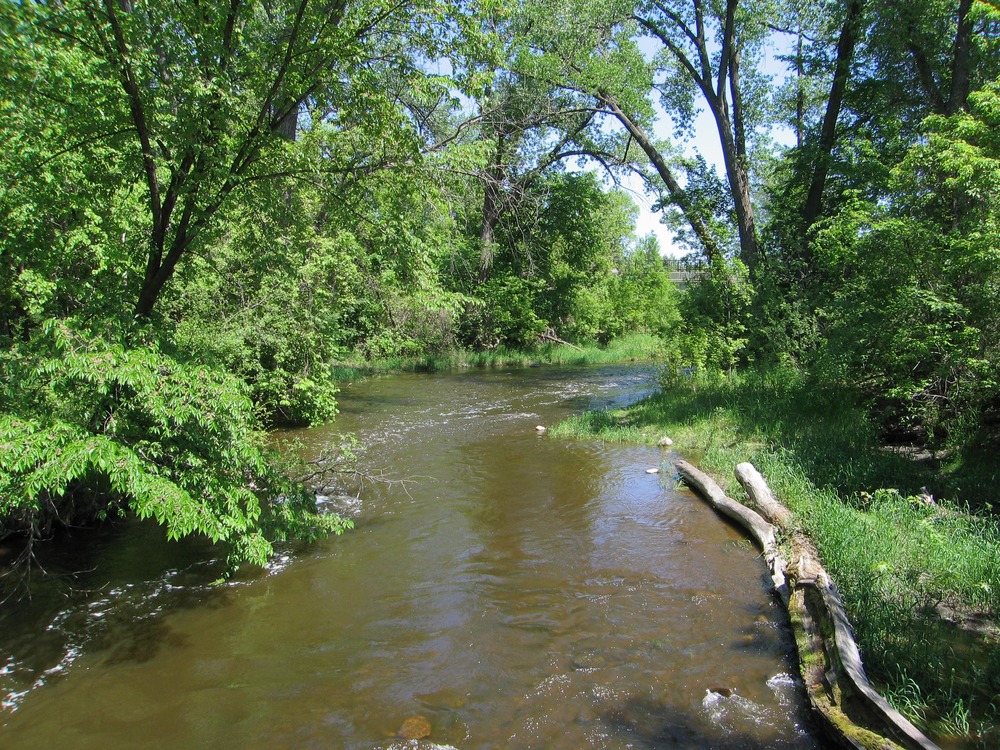A river runs through a forest.