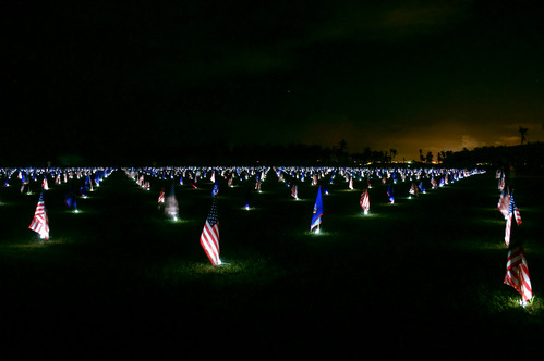 Nighttime display of American flags during Memorial Day flag event.