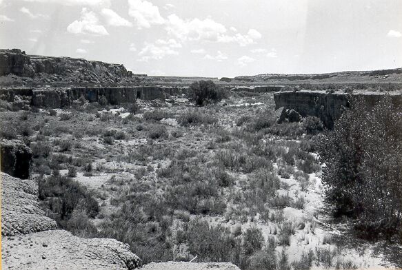 North Chaco Wash Before Channel Realignment Near Wijiji