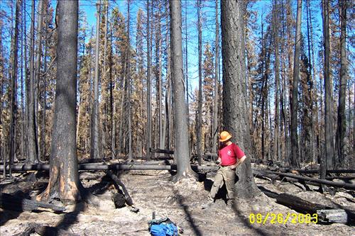 Wildland Fire Damage, Summer 2003, Glacier National Park