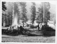 Burnning Slash Piles at Headquarters. Administrative Collections: Album 5 (Emergency Conservation Works) -Burning piles of wood and brush from forest cleanup at LAVO headquarters.