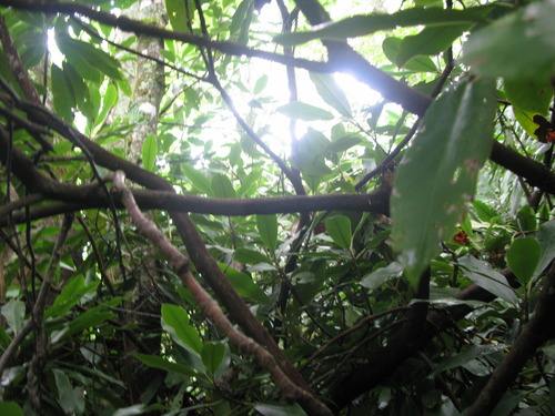 Plot Code: GRSM_AA_0549_3