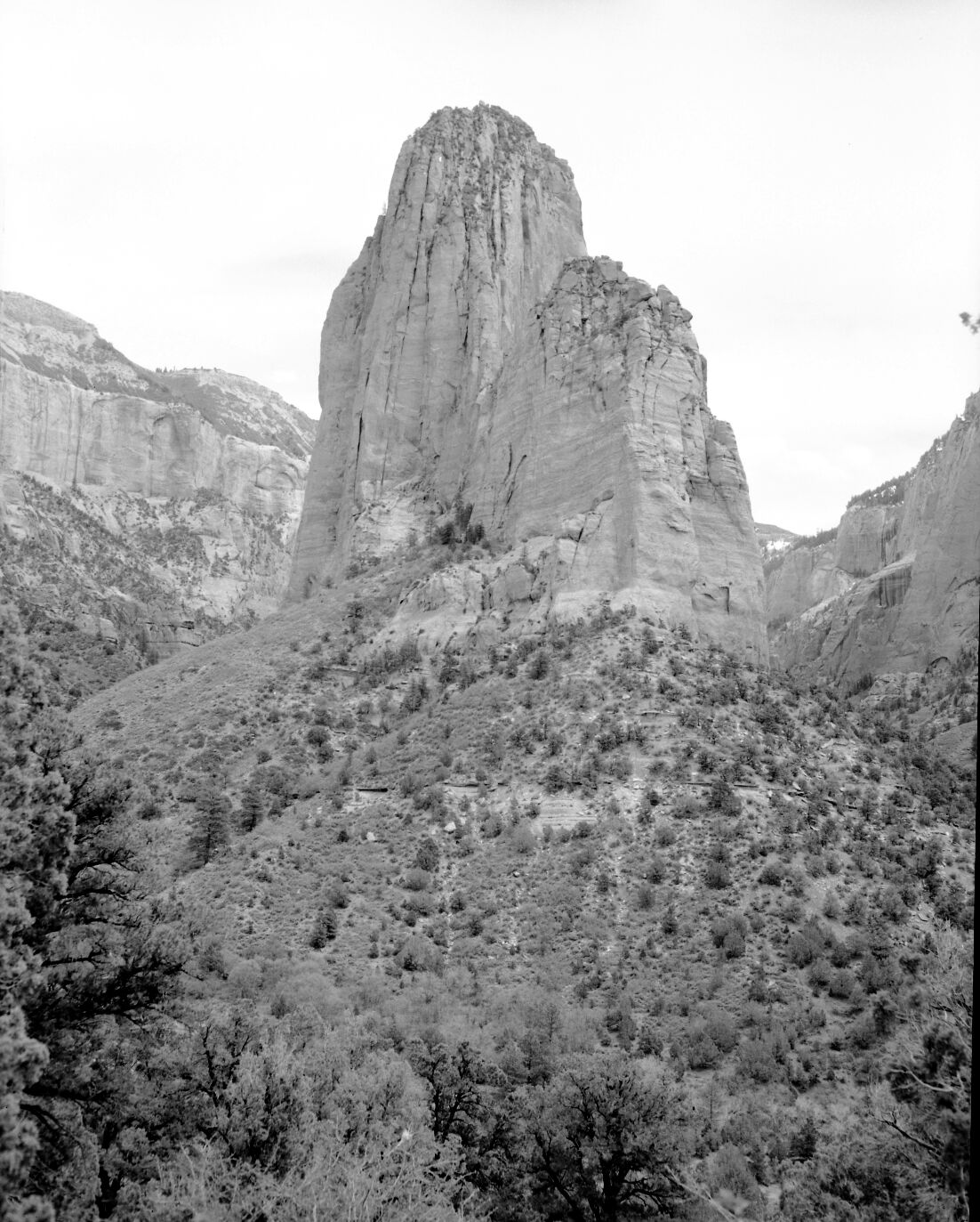Tucupit Peak in Kolob section. From near three forks of Taylor Creek.