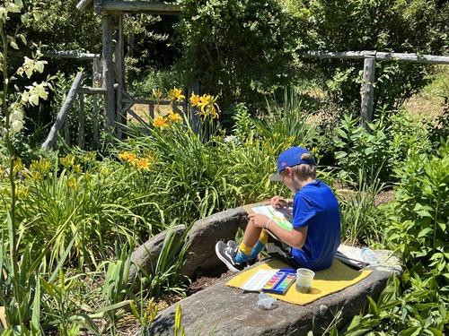 A photograph of a young boy sitting on a rock painting the yellow flowers in the garden.