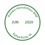 June 2020 Virtual Passport Stamp to download