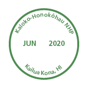 June 2020 Virtual Passport Stamp to download