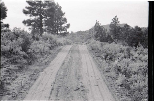 BW photo of the 1937 grazing study 35MM.