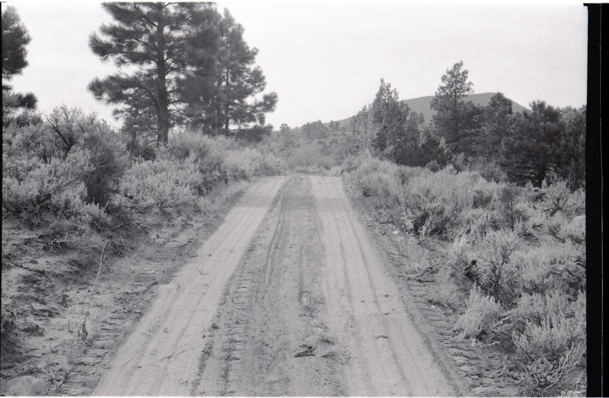 BW photo of the 1937 grazing study 35MM.