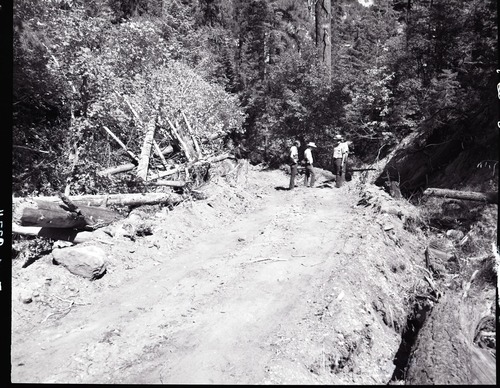 Dirt road from Potato Hollow to Kolob Creek bulldozer graded road section on park land.