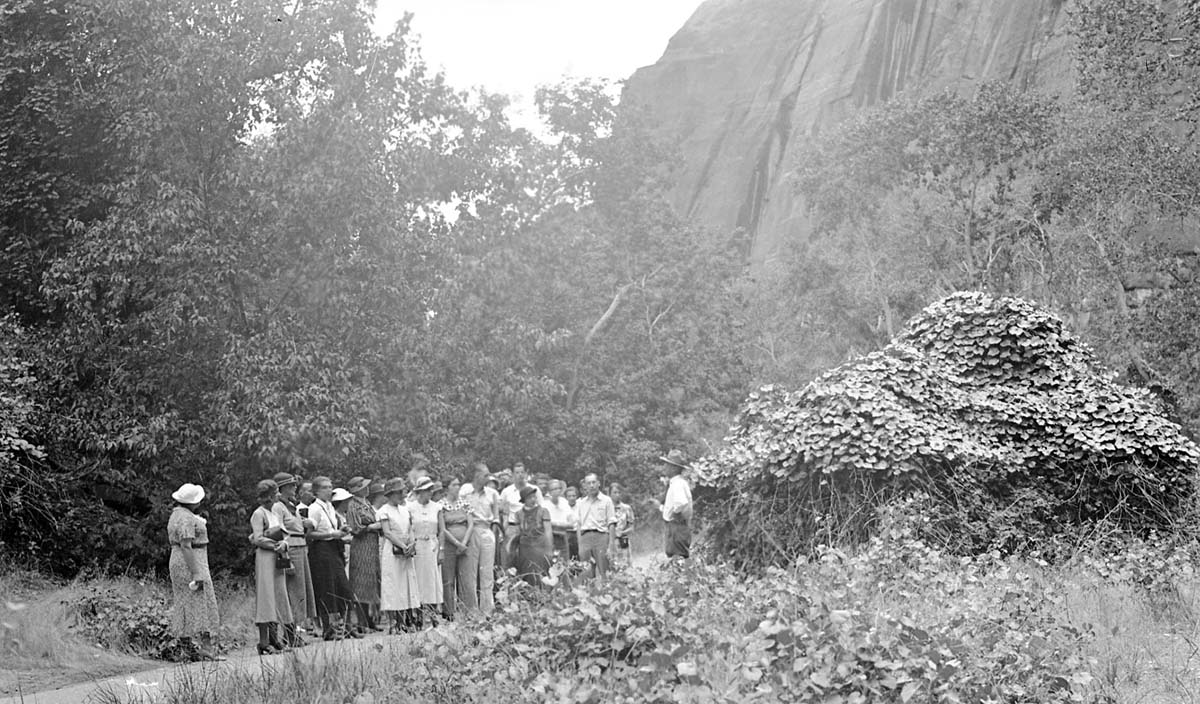 A ranger program along the Narrows Trail at the Zion stadium.