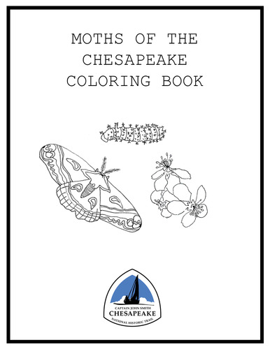 Text reads "Moths of the Chesapeake Coloring Book." Illustrations of a moth, caterpillar, and flower along with trail logo. 