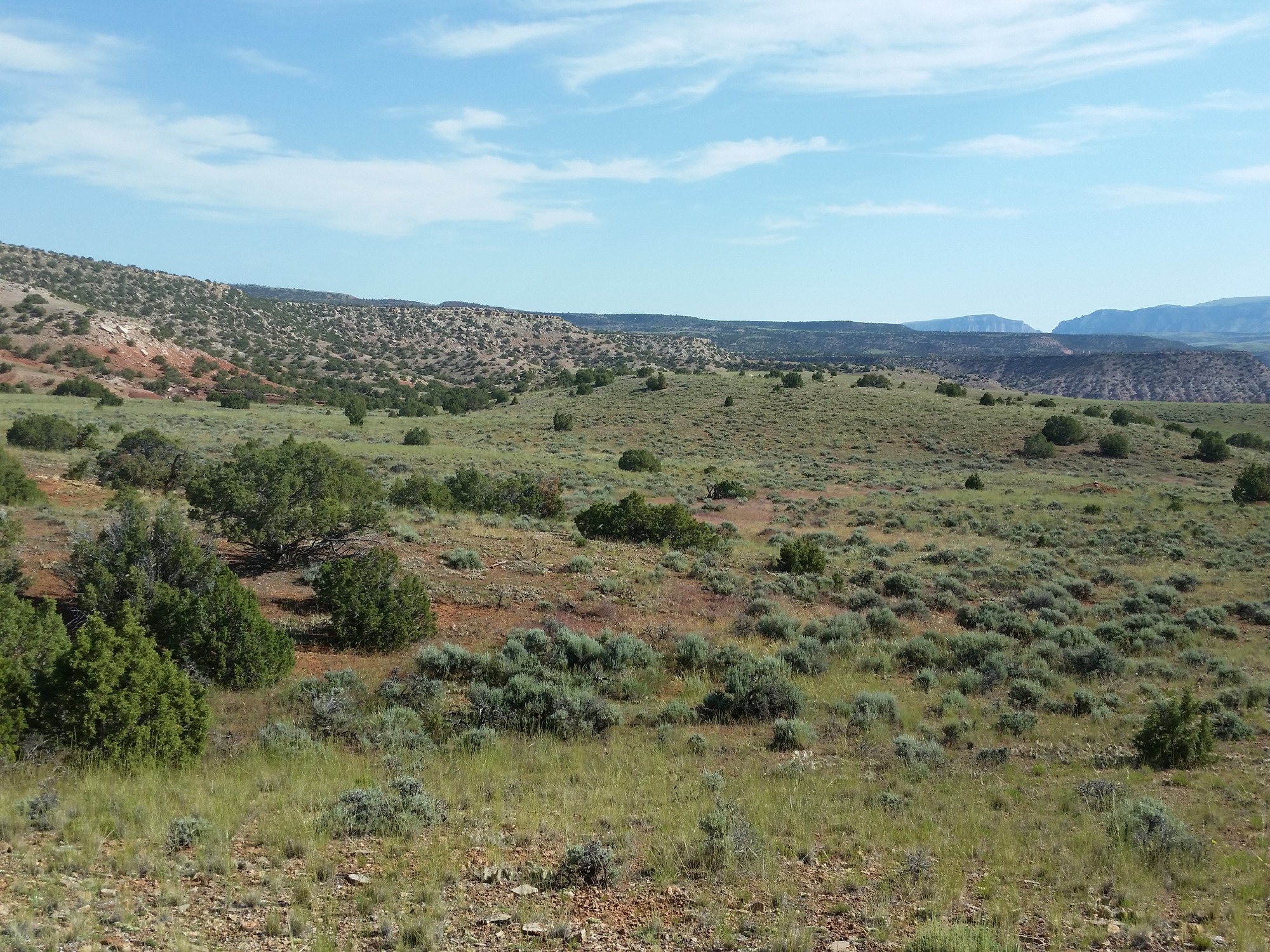 Image of the vegetation and landscape at photo point in Bighorn Canyon NRA 