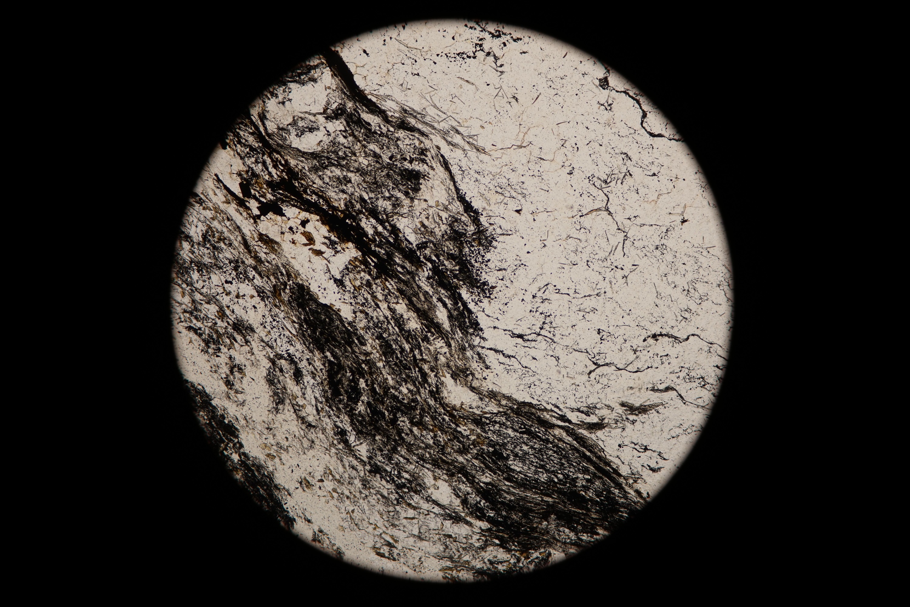 Circular microscopic image of rock structure.
