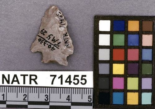 NATR   71455 -- Merom Cluster projectile point