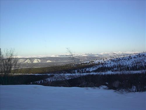 3 Gates of the Arctic National Park and Preserve Hares Survey Winter 2006