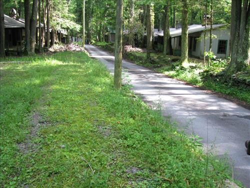 ARRA-Construction of Little River and Jakes Creek Trailhead Parking Areas in Elkmont Historic District, Great Smoky Mountains National Park, 2010