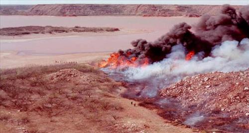 Salt Cedar Eradication Program Succeeding at Lake Meredith National Recreation Area, Texas