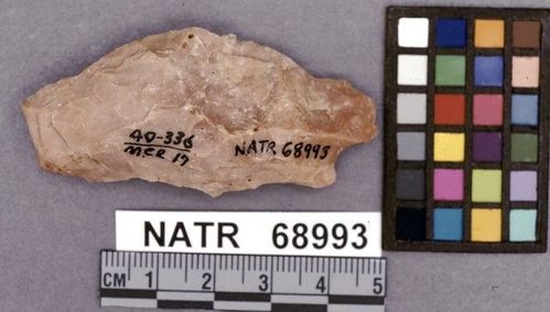 NATR   68993 -- White Springs Cluster projectile point