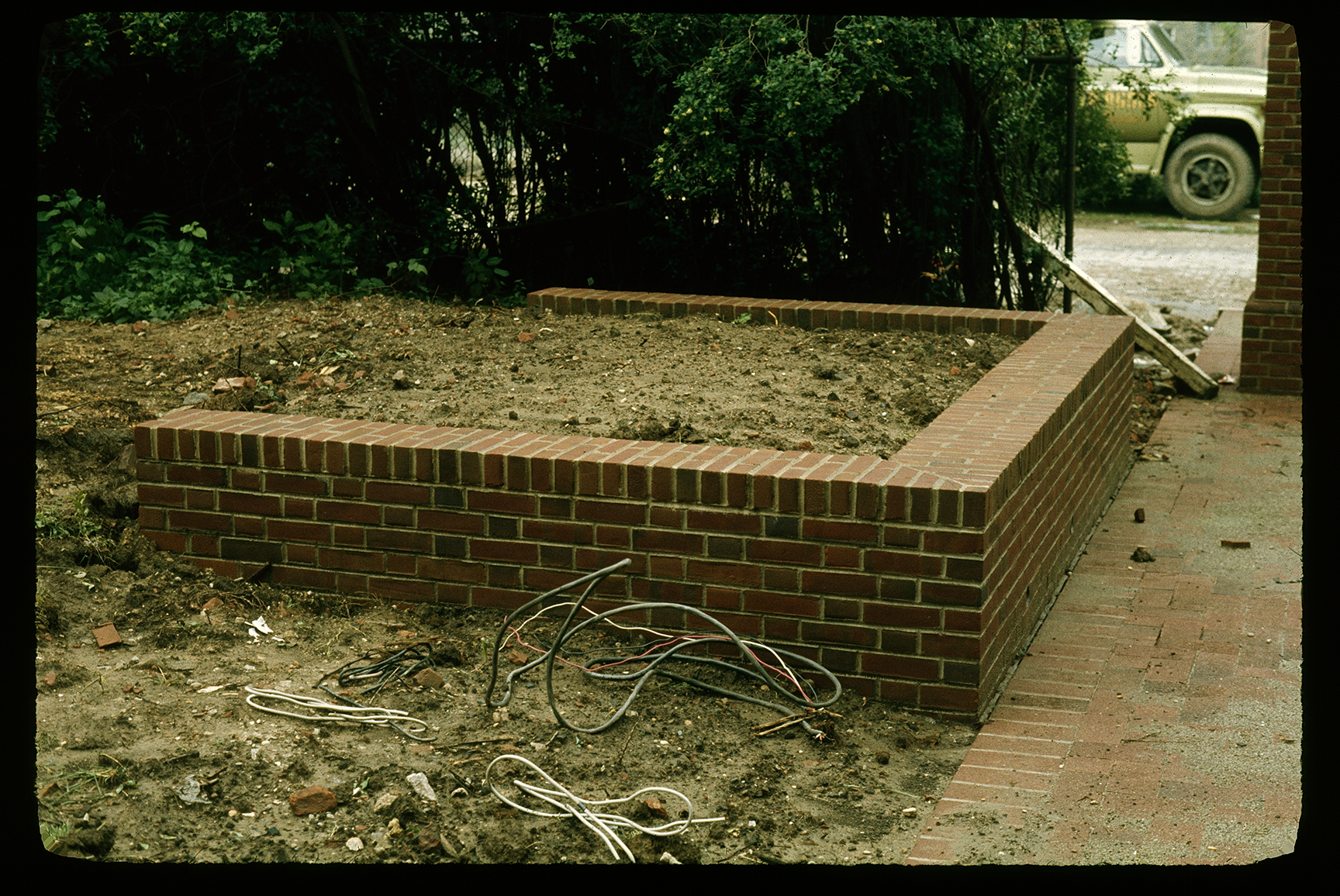 Gloria Dei, tree well where Pine fell down