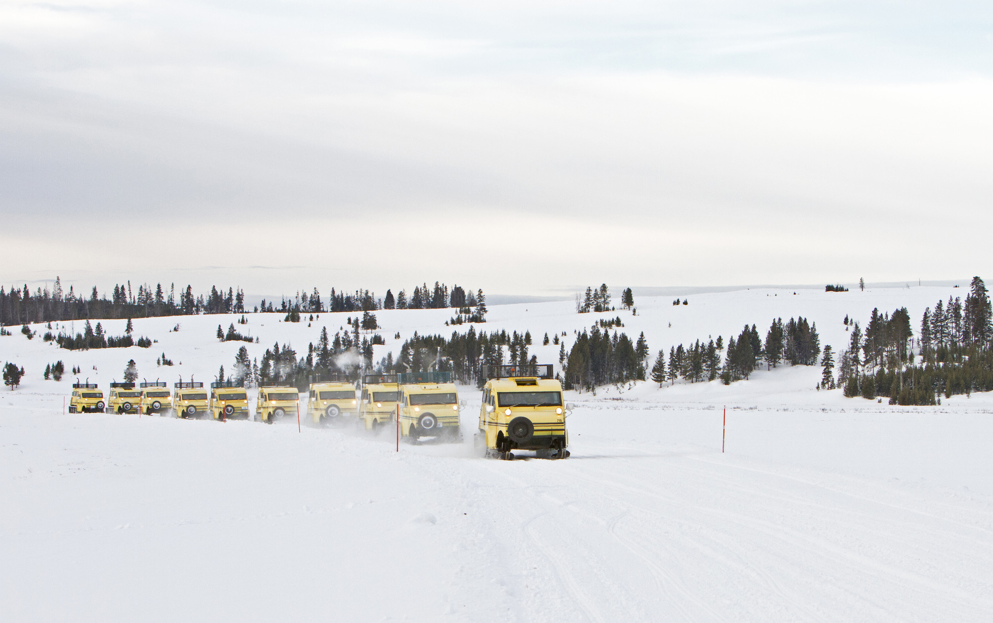 A long line of yellow bombardier coaches with skis on the front and tracks in the back drive in a line on a snow covered road.