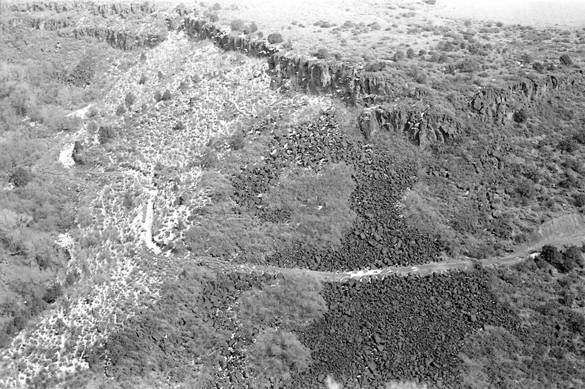 BW photo of the 1937 grazing study 35MM. Photo of road to Lee Spring.