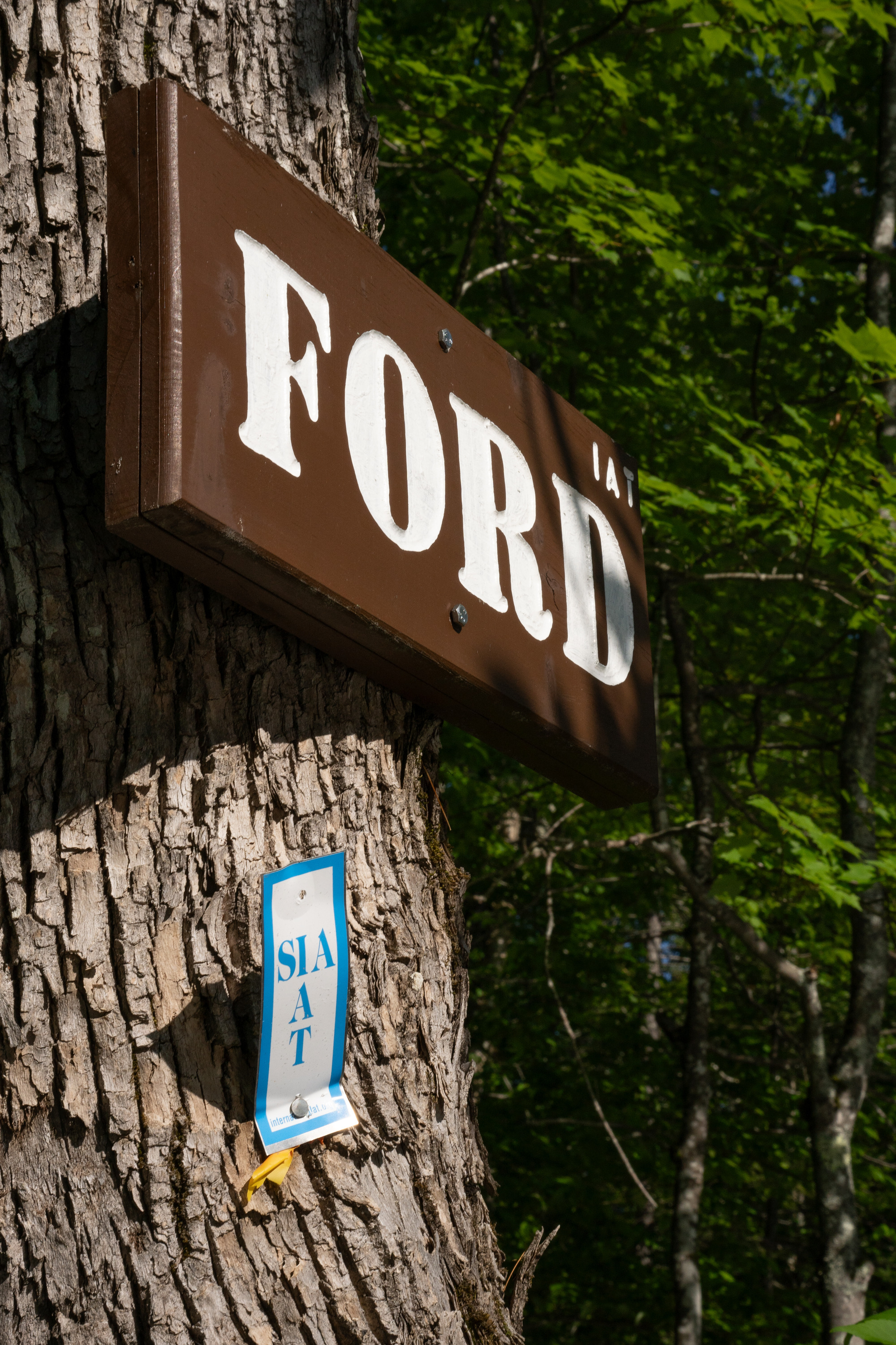 Close up of a brown sign with white letters. "Ford" is written in large font, "IAT" is in smaller letters on the top right.