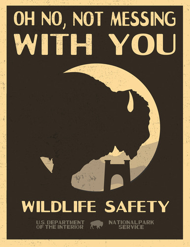 Infographic with text reading "Oh No, Not Messing With You. Wildlife Safety. U.S. Department of the Interior National Park Service." Image includes an illustrated silhouette of a bison near an archway in front of mountains. 