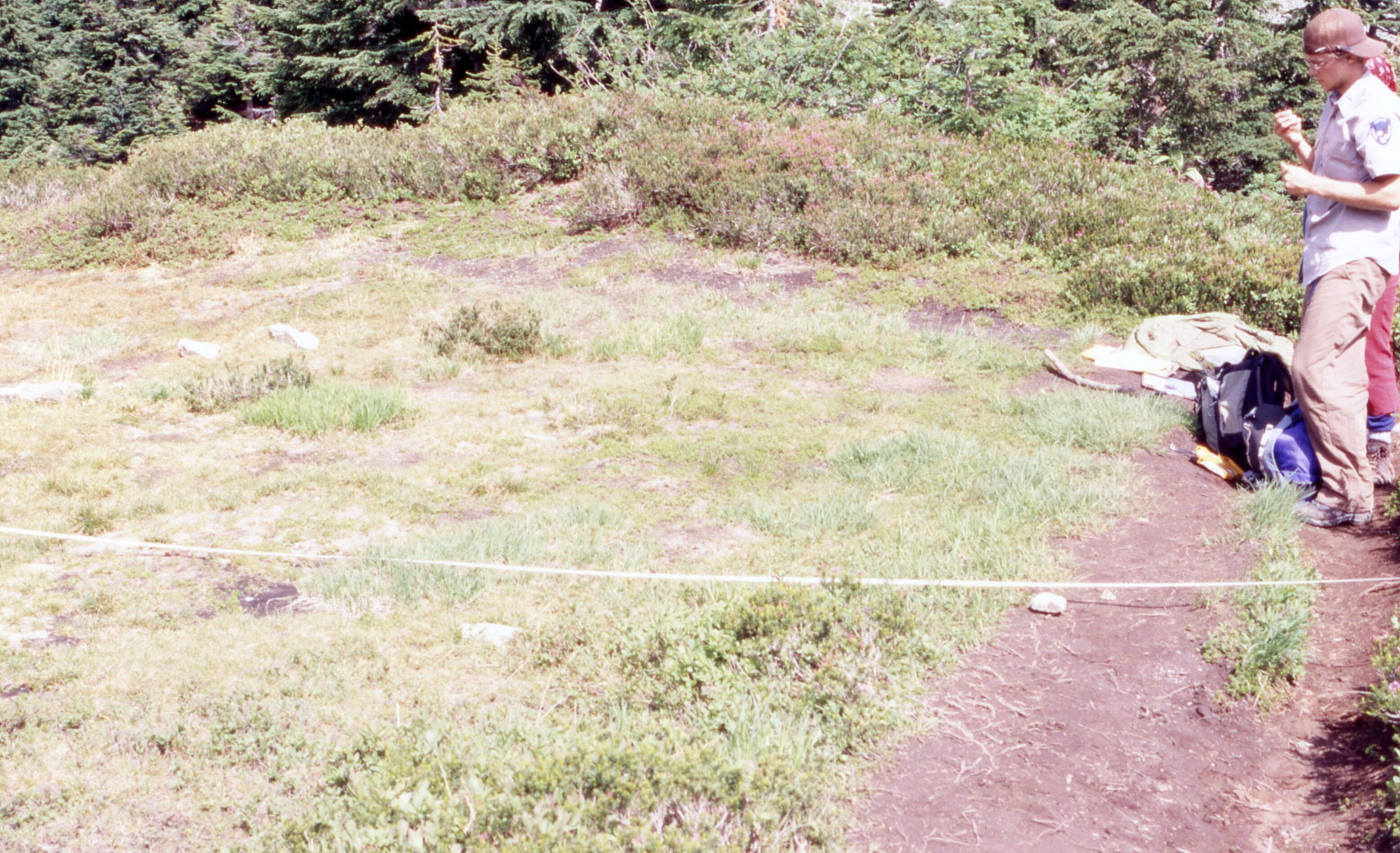 Grassy area with some patches of dirt, surrounded by shrubs, wildflowers, and trees. A trail curves around the side of the meadow area. On the trail, a project worker stands next to a backpack. A long piece of string crosses the frame.