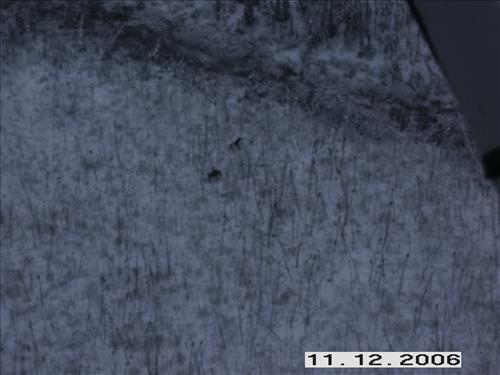 1 Yukon-Charley Rivers National Preserve Moose Survey November 2006