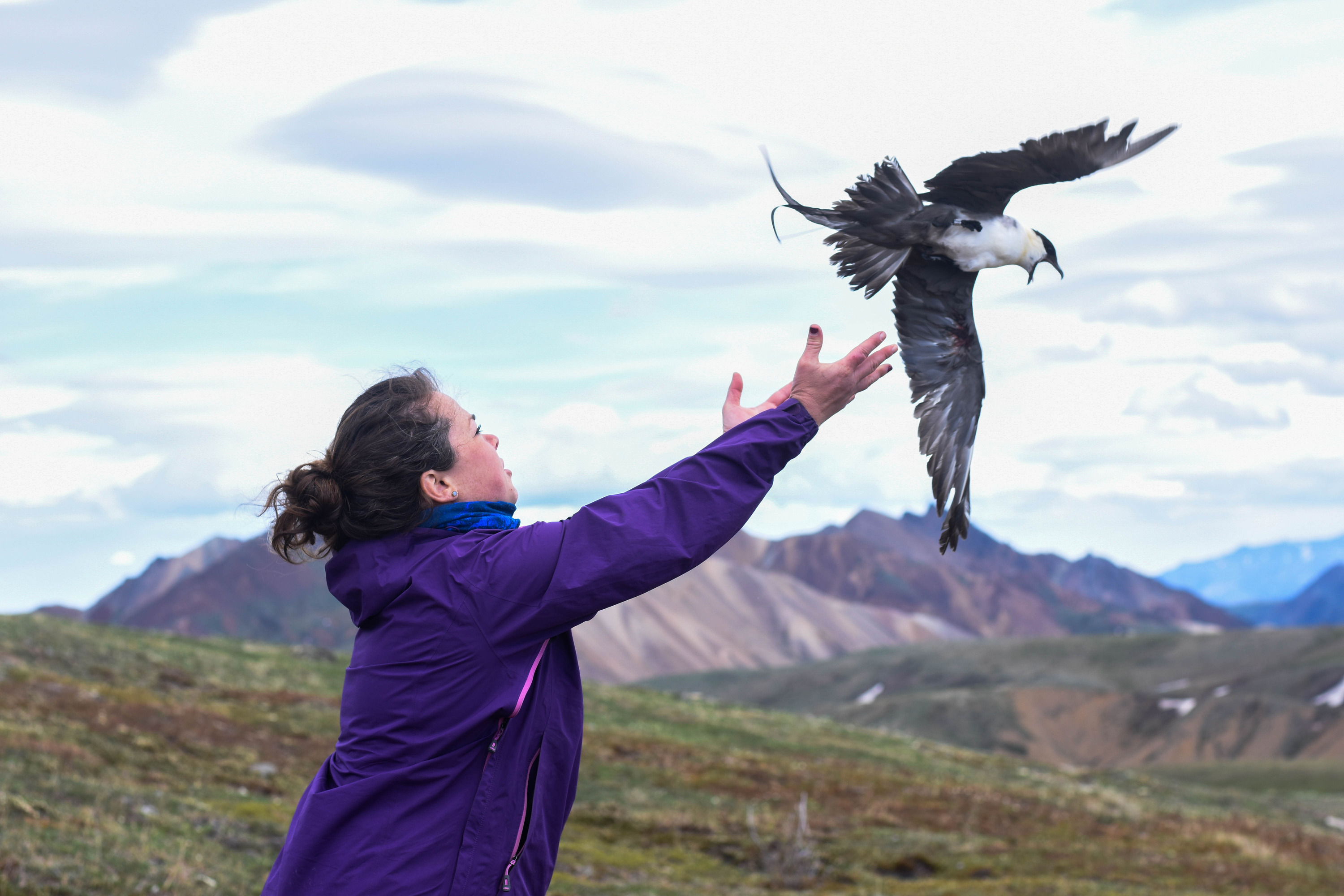a woman releasing a large bird