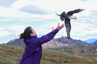 a woman releasing a large bird