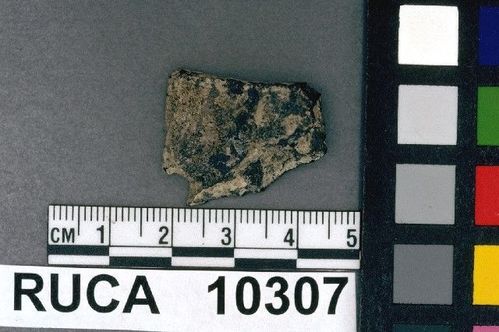 RUCA   10307 -- Point, Projectile