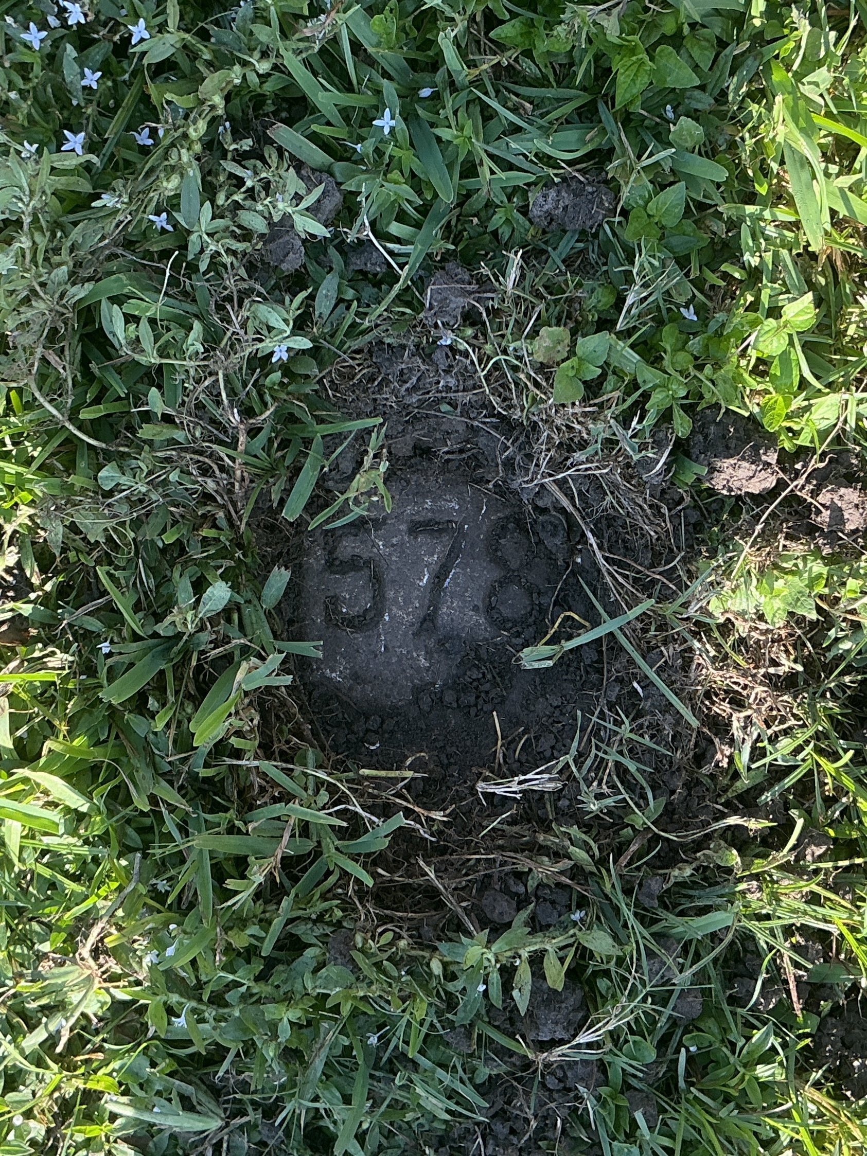 Top of flat marble marker