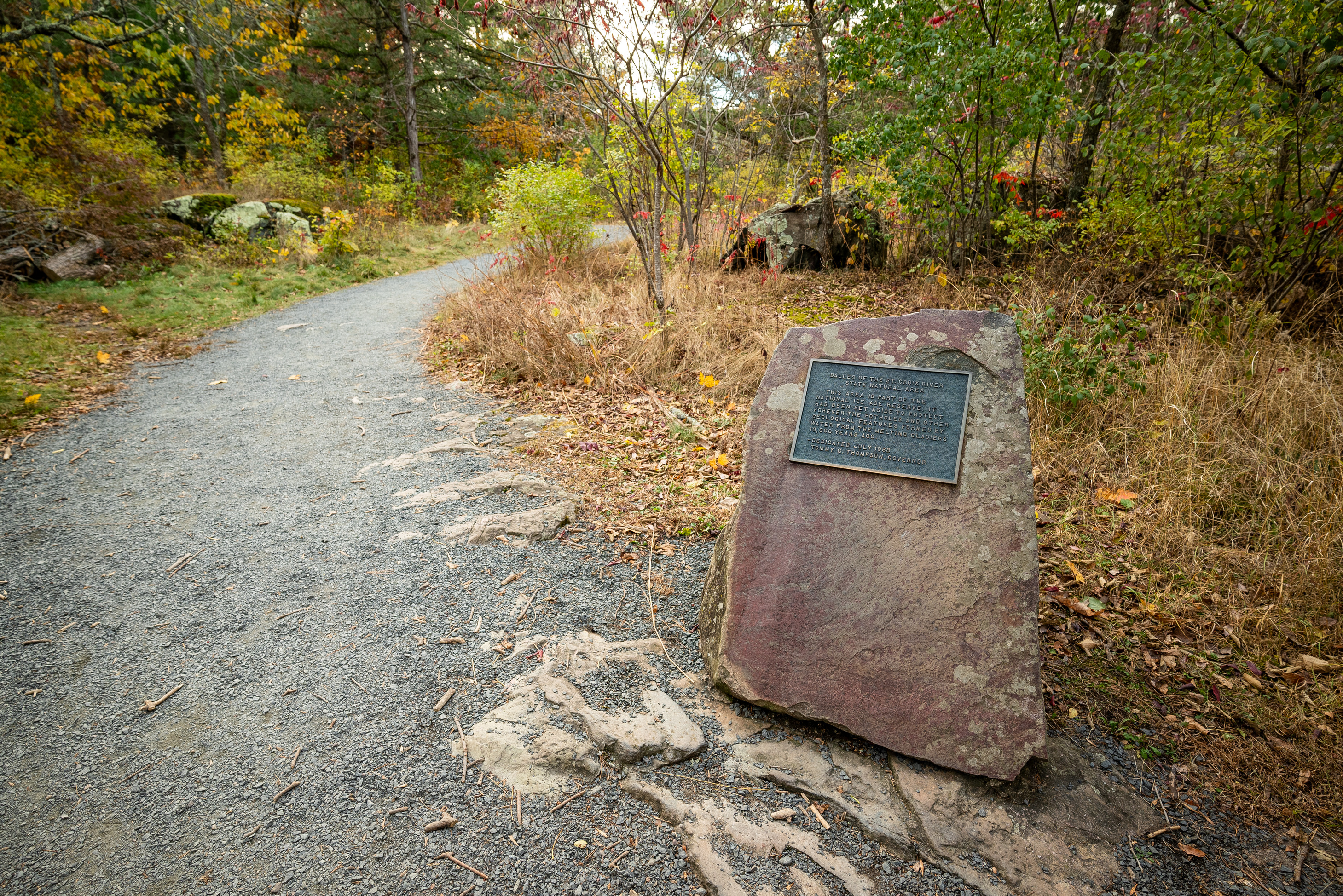 Photograph of plaque attached to the face of a large boulder in the foreground near a trail leading into a forest.
