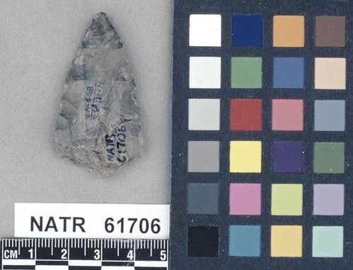 NATR   61706 -- Untyped projectile point