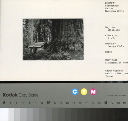 Galen Clark's cabin in Mariposa Grove. Copy Neg: Leroy Radanovich, September 1998