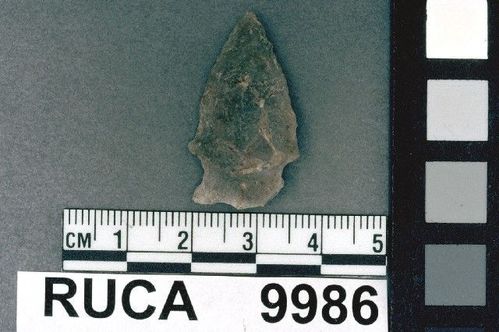 RUCA    9986 -- Point, Projectile