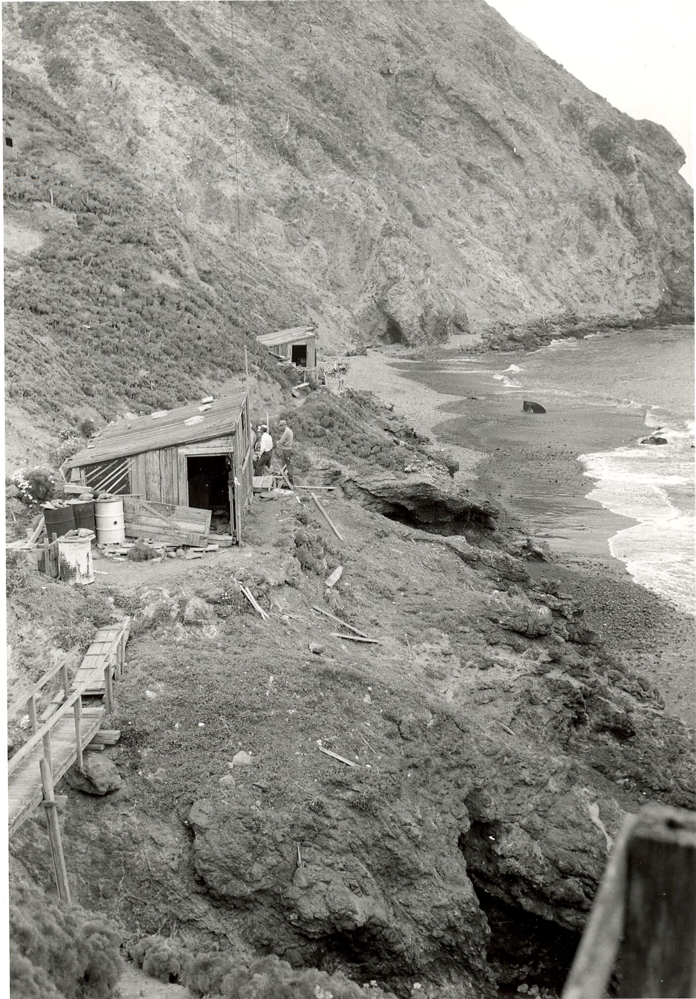 Shacks in Frenchys Cove