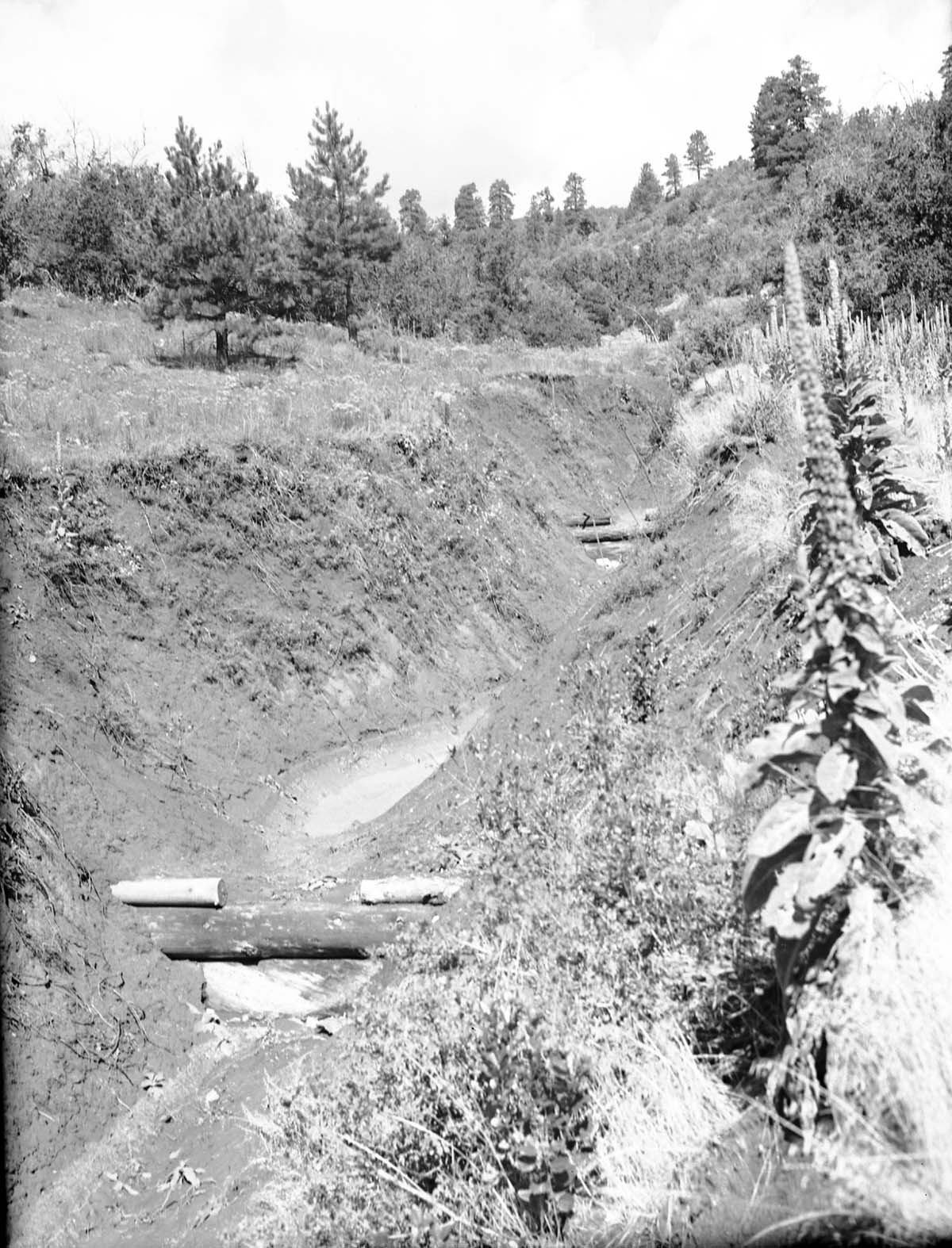 Potato Hollow check dams. Day after heavy, slow rain.