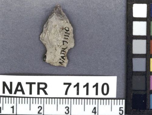 NATR   71110 -- Bayogoula Fishtail projectile point