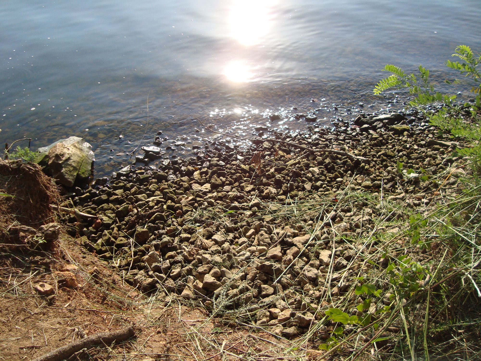 Loose beach stones at the mouth of Spring Creek, on the Tennessee River at Tuscumbia Landing near Sheffield, Alabama