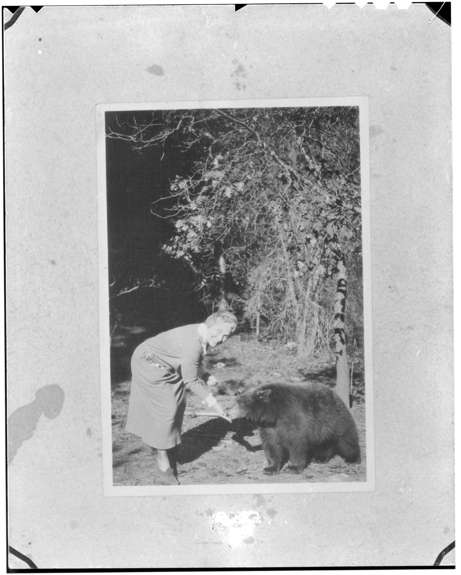 A woman feeding a bear