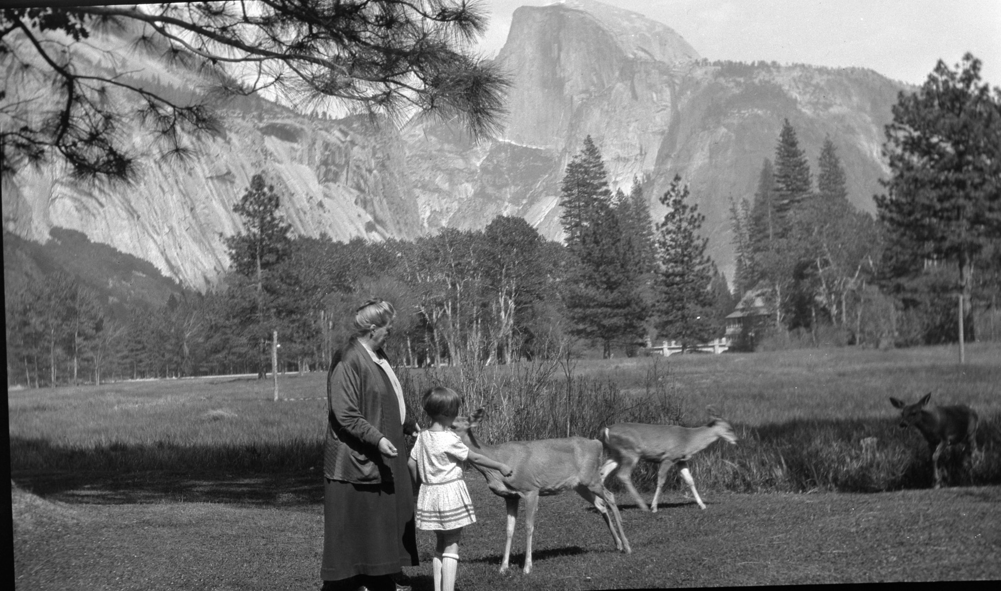 Member of Supt. Lewis' family with deer on Supt's House. Setinel Hotel and bridge in background.