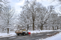 Truck plowing snow in a parking lot under trees covered in snow