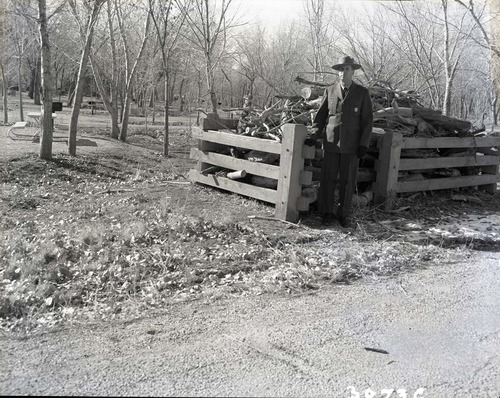 Site of visitor accident, location of wood rack and truck. Ranger standing by wood rack.